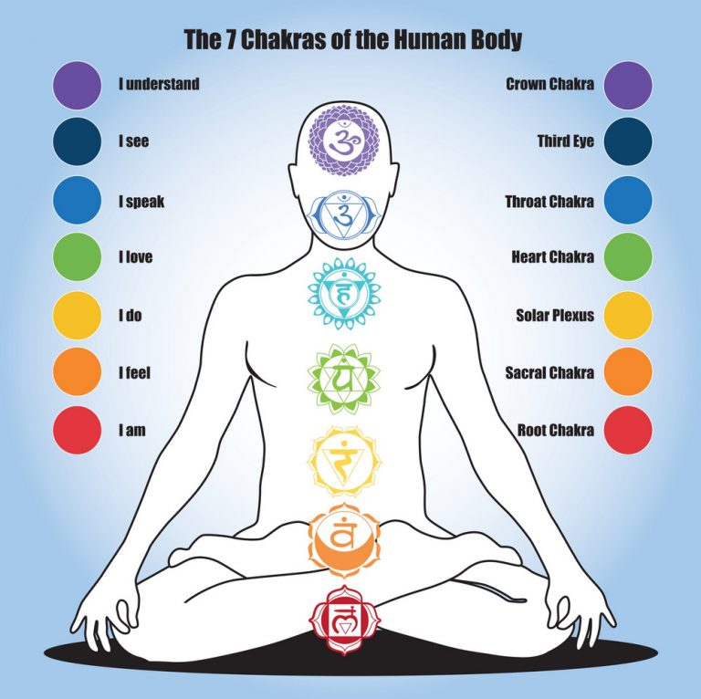 7 Chakras of the Human Body
