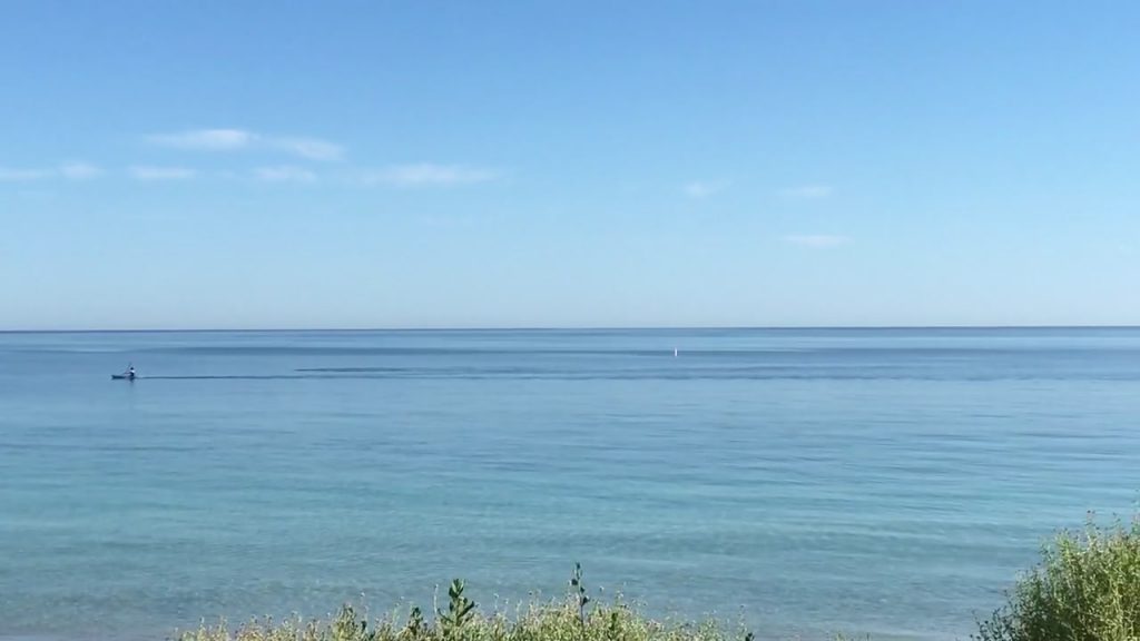 Dolphins swimming at the Geographe Bay Yacht Club beach caught on camera by Nurturing with Miranda